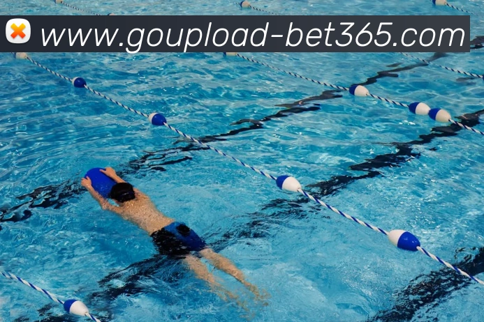 bet365平台生态图